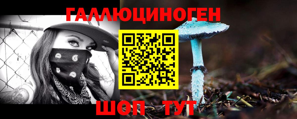 Псилоцибиновые грибы Magic Shrooms  Вход с VPN  Буйнакск 